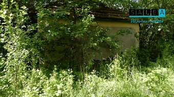 Vinica na predaj, 2500 m2, Farná, okr. Levice - 2