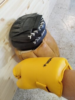 Predám boxovacie rukavice a boxovacie vrece - 2
