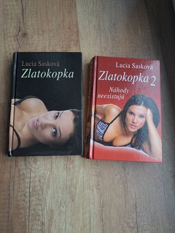 Kniha Zlatokopka - 2