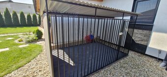 Voliera pre psa - 2