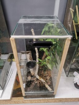 Terarium - 2
