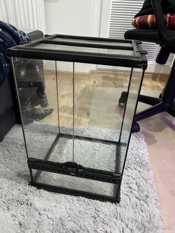 Terarium, terrarium - 2