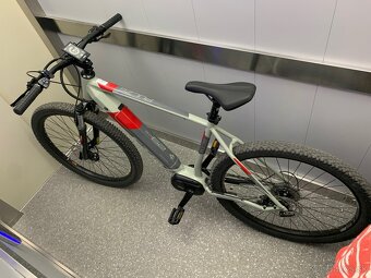 CTM PULZE XL 29” - 2