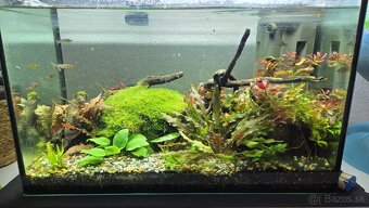 Predam akvarium - 2