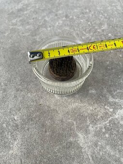 Predám oceľového ježka na aranžovanie kvetov - 2