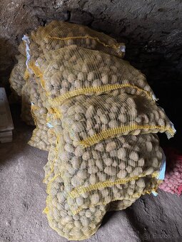 sadbove zemiaky sadba - 2