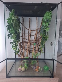 Terarium - 2