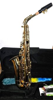 Alt saxofon - 2