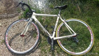 Celokarbon Wilier Triestina Mortirolo (It)ultegra(Jpn)(Shima - 2