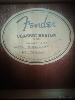 Elektro Akustická basgitara - 2