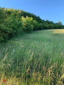 Predaj pozemok v prírode Jedľové Kostoľany - 2