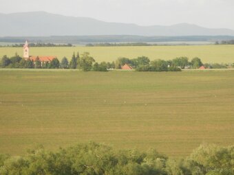Záhrada v extravil. Žitavce, okr.Nitra, Vráble  6 km - 2