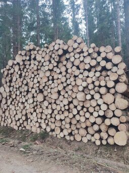 Ťažba dreva a kúpa porastov na pni - 2