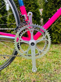 F.Moser Team SLX - 2