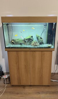 Akvárium JUWEL Rio 125 led - 2