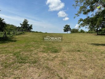 HALO reality - Predaj, rekreačný pozemok Kráľovský Chlmec - - 2