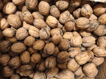 Vlašské orechy - 2