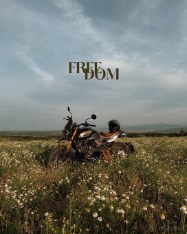 MotoMorini seiemmezzo 650 SCR scrambler - 2