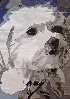 Zvieratá na obraze - 2