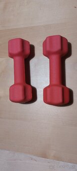 Činka Fitforce FDBN 2kg (2ks) - 2