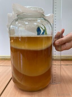 Kombucha - 2
