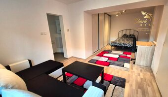 VEĽKÝ 1 izb byt _ 65 m2_ Prenájom_Parkovanie GRÁTIS - 2