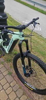 Santa Cruz Heckler - 2