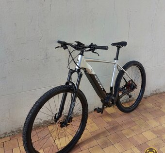 CTM  PULZE XPERT 2023 - 2