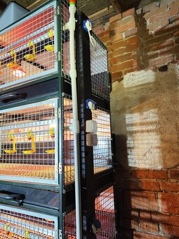 Špičkové odchovne pre hydinu – komplet vybavené - 2