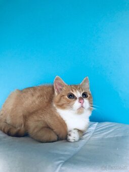 COOPER SI HĽADÁ DOMOV VO VNÚTRI - 2