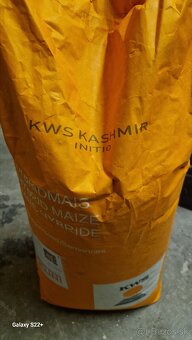 Osivo kukurice kws - 2