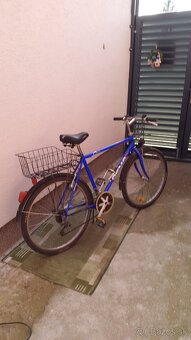 Pánsky bicykel Dema - 2
