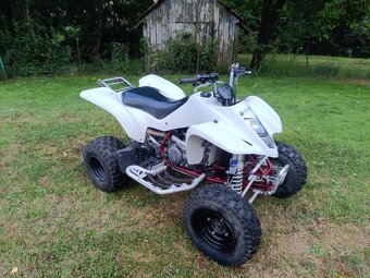 Suzuki LTZ 400 - 2