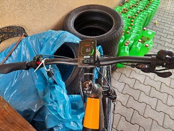 OEM e bike - 2