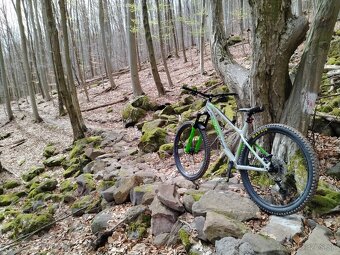 Rock machine blizz trl 70-29 - 2