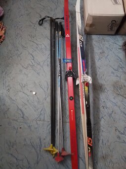 Bežky aj palice - 2