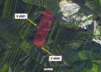 Vrútky – 9.550 m2 LES - 2