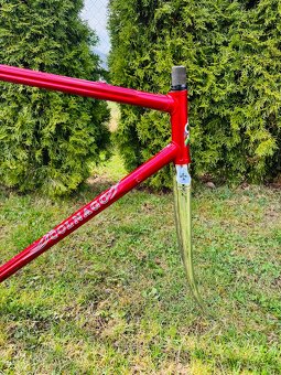 Colnago Esa Mexico Sarroni red - 2