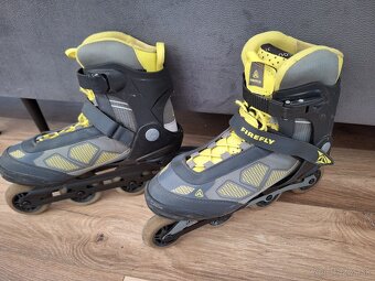Panske kolieskove korcule Firefly - 2