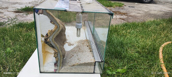 terarium - 2