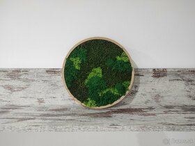 Predám obraz z machu: Kruh mini (Ø26 cm) - 2