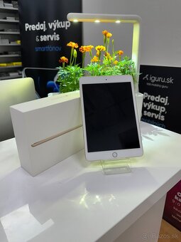 Apple iPad mini 3 - 2
