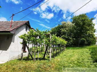 Ponorte sa do sveta vína a histórie v malebnej obci Vinica - 2