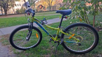 Kellys kitter 30 "24" - 2