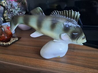 SOŠKA ROYAL DUX - 2