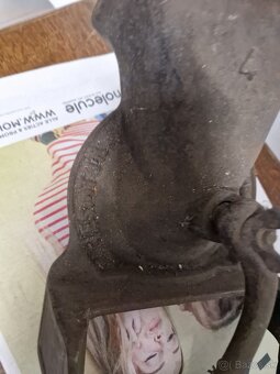 Mlyncek železný - 2