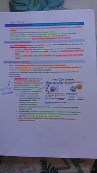 Imunologie - vypracované otázky - 2