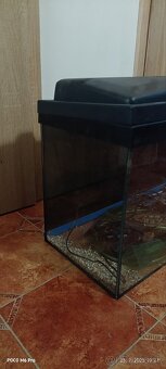 Predam akvarium s prislusenstvom - 2