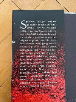 S kazdou padajici hviezdou - Sungdzu Lee, Susan McClelland - 2