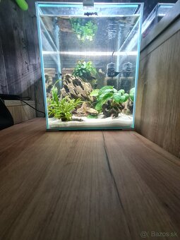 Nano akvárium - 2